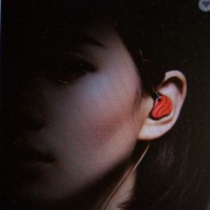 High Quality In-Ear Earbud with Microphone Headset